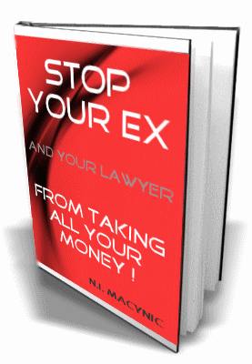 A graphic image of the non-digital resource guide cover for Stop your Ex and your Lawyer