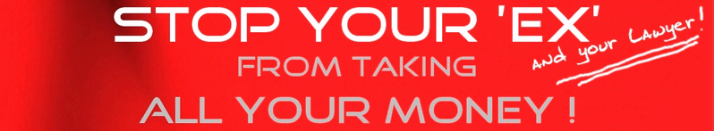 Stop Your Ex and your lawyer, from taking all your money